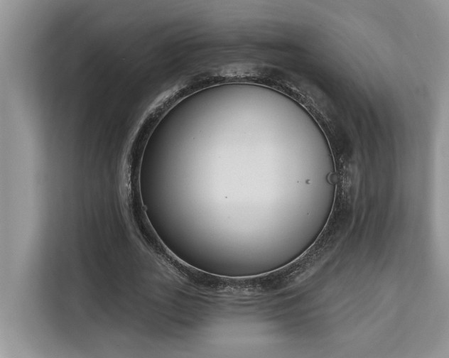 X0000113100727200908281347