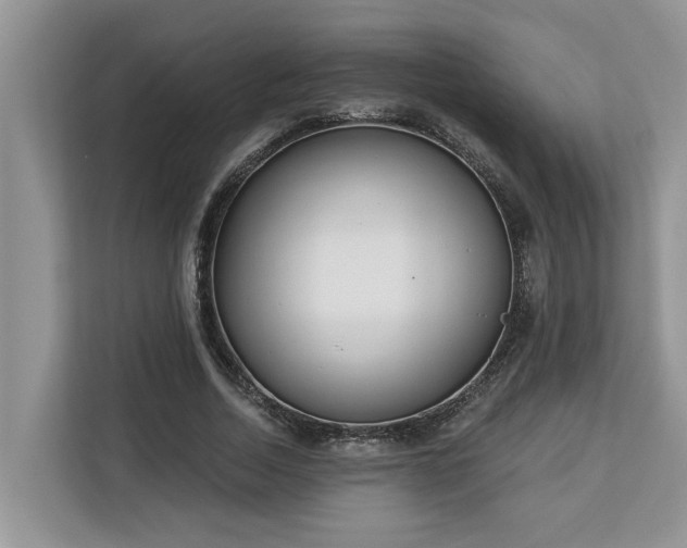 X0000113100730200908281347