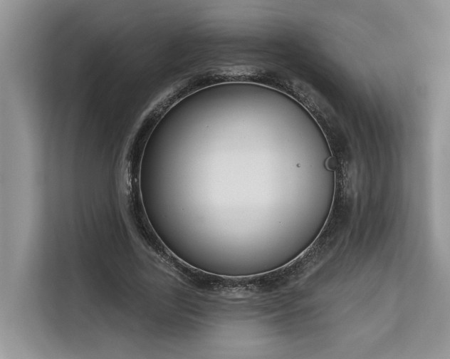 X0000113100731200908281347