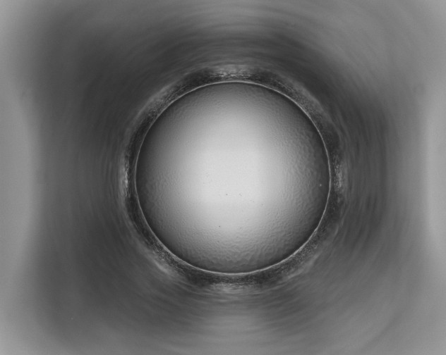 X0000113100733200908281347