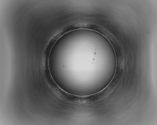 X0000113100735200908281347