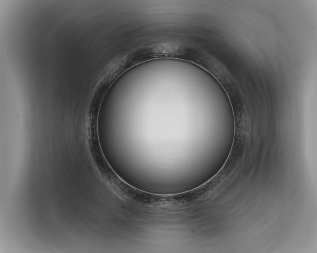 X0000113100738200908281347