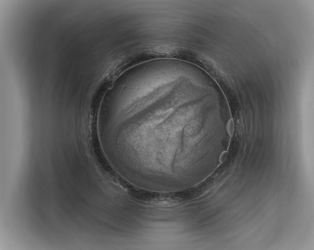 X0000113100739200908281347