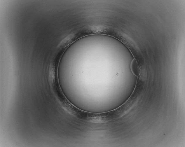 X0000113100740200908281347