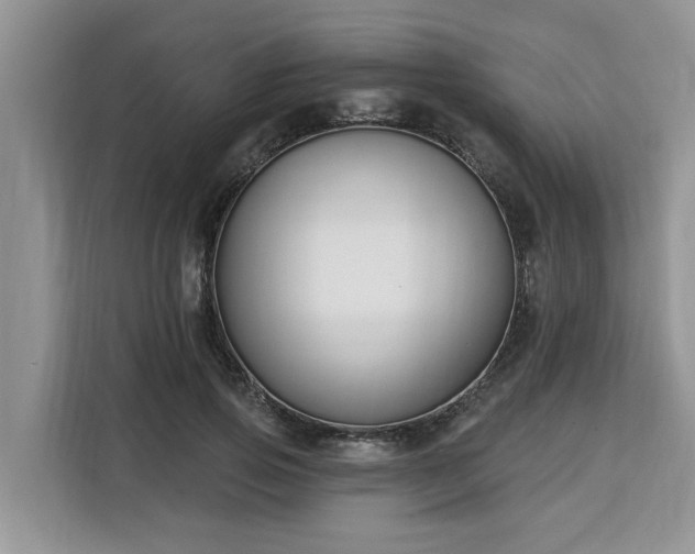 X0000113100741200908281347
