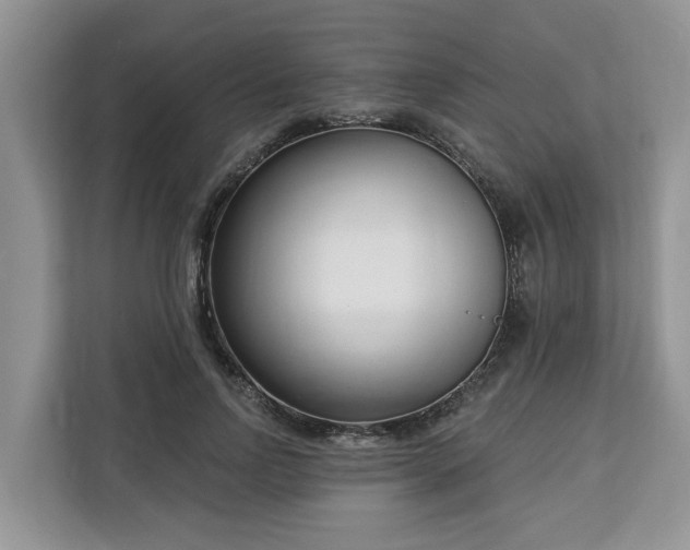 X0000113100742200908281347