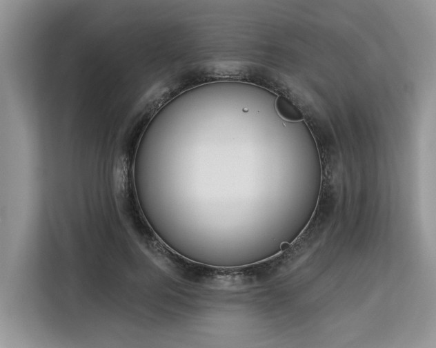 X0000113100744200908281347