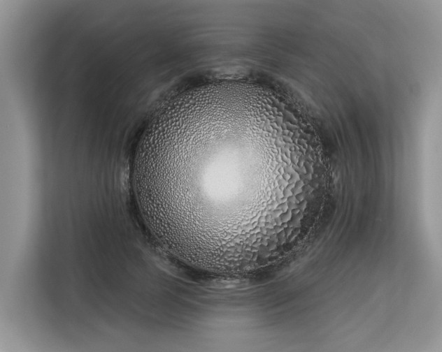 X0000113100745200908281347