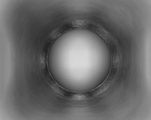X0000113100749200908281347