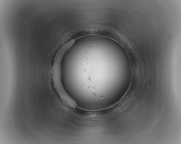 X0000113100750200908281347