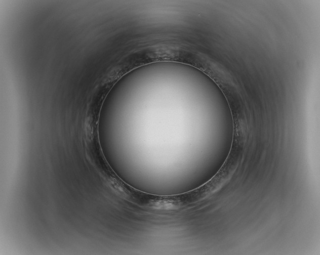 X0000113100751200908281347