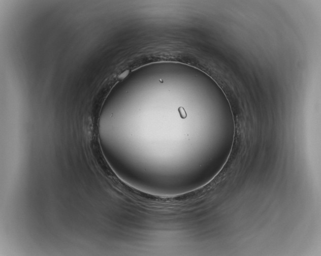 X0000113100752200908281347