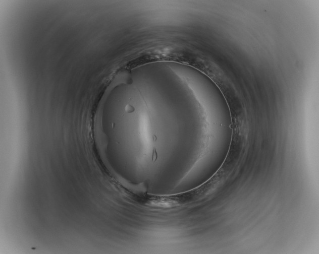 X0000113100754200908281347