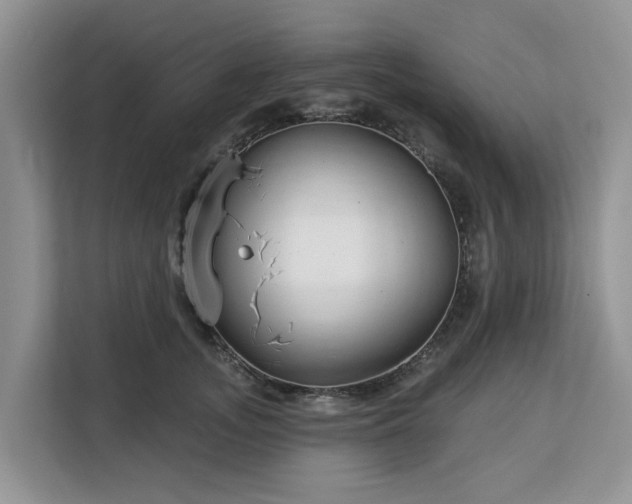 X0000113100755200908281348