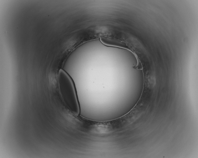 X0000113100756200908281348