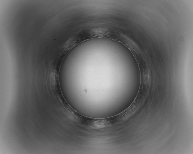 X0000113100757200908281348
