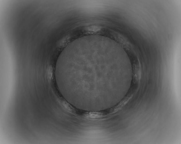 X0000113100758200908281348