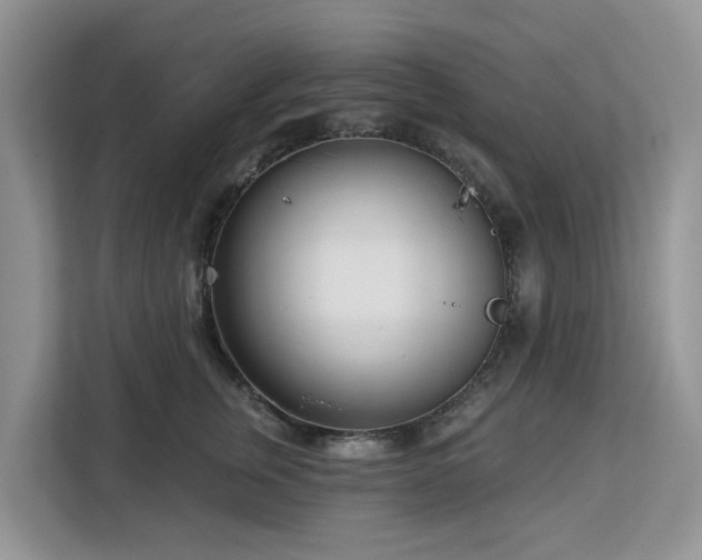 X0000113100759200908281348