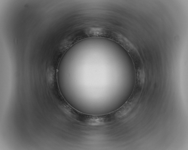 X0000113100760200908281348