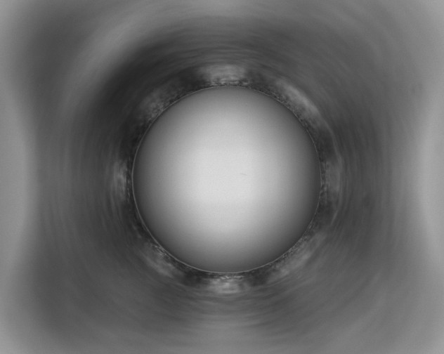X0000113100761200908281348