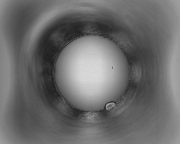 X0000113100762200908281348
