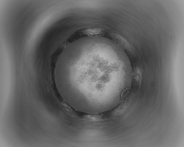 X0000113100763200908281348