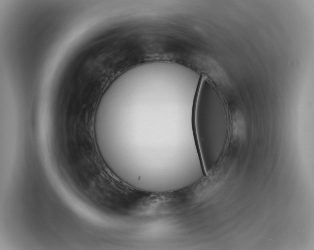 X0000113100764200908281348