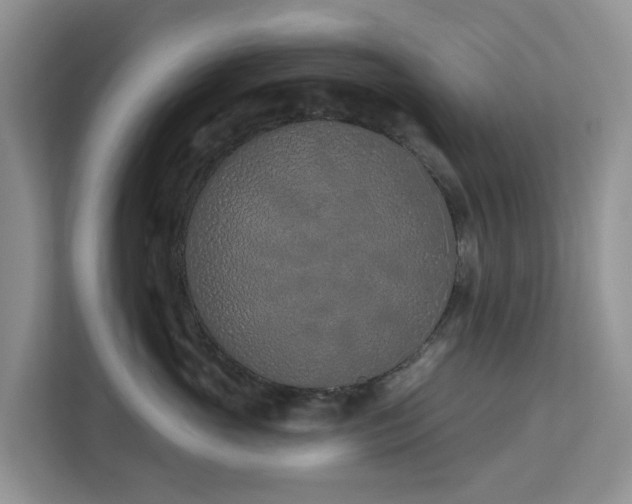 X0000113100765200908281348