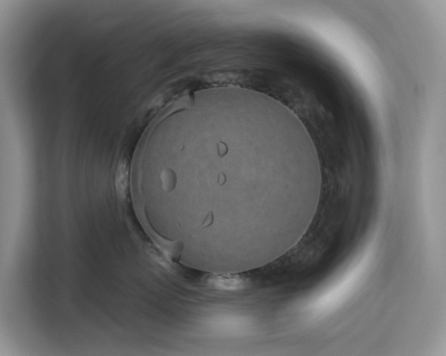 X0000113100767200908281348