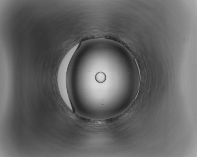 X0000113100768200908281348