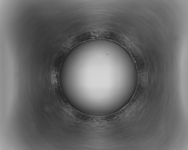 X0000113100770200908281347