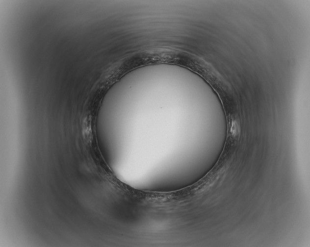 X0000113100771200908281347