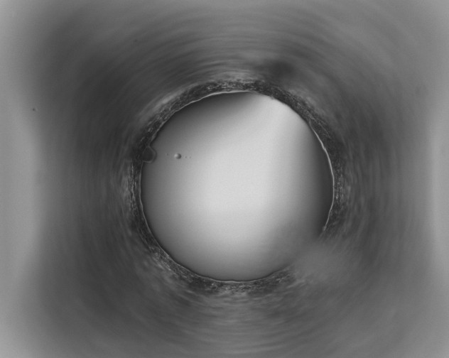 X0000113100773200908281347