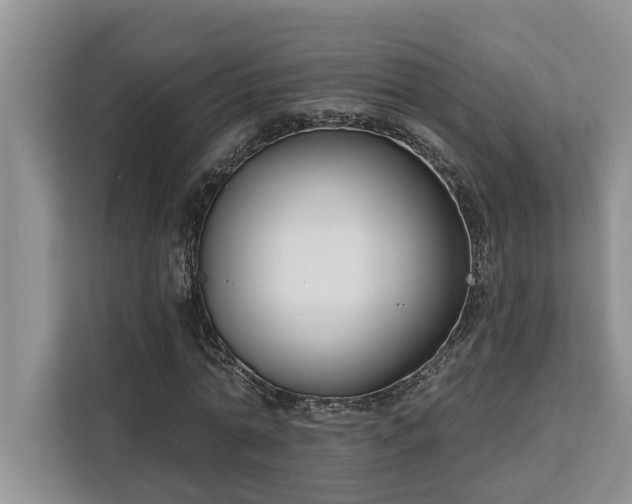 X0000113100774200908281347