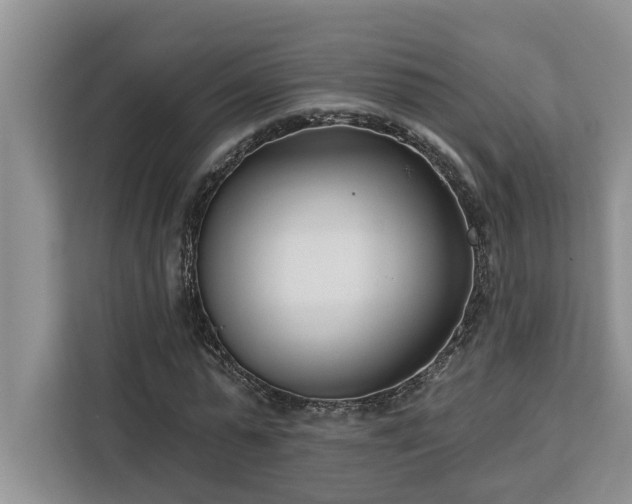 X0000113100775200908281347