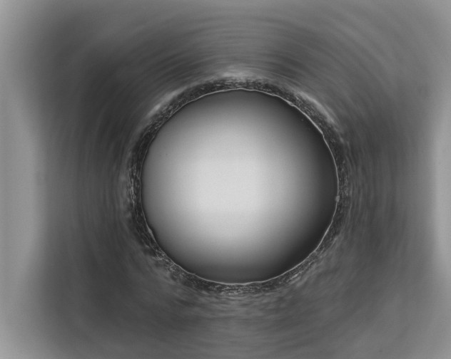 X0000113100776200908281347