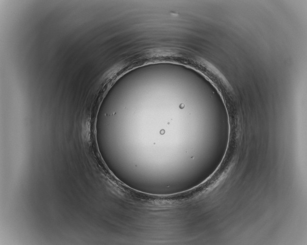 X0000113100777200908281347