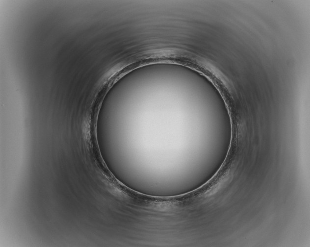 X0000113100778200908281347
