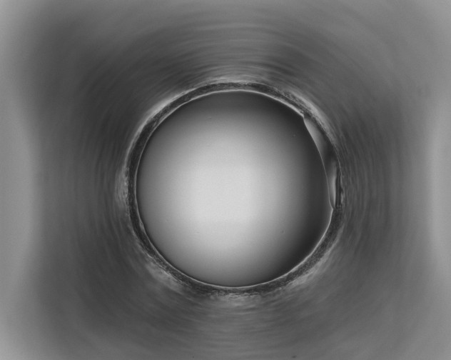 X0000113100779200908281347