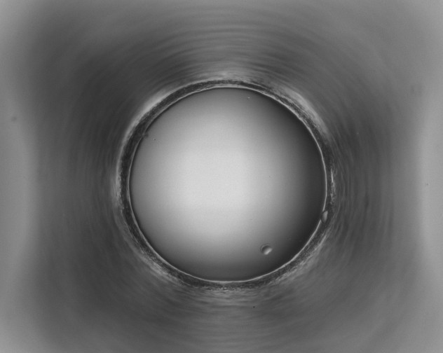 X0000113100780200908281347