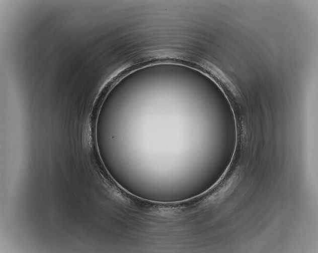 X0000113100782200908281347