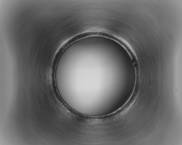 X0000113100783200908281347