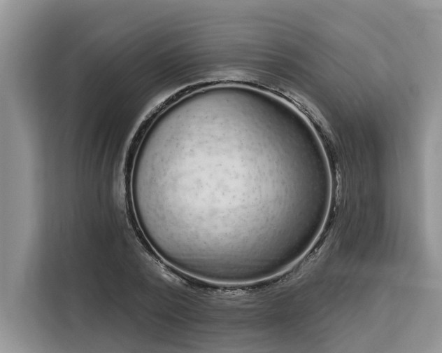 X0000113100784200908281347