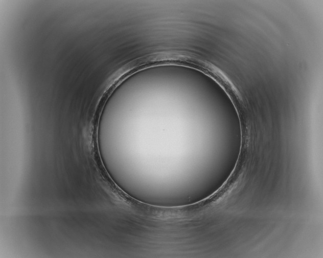 X0000113100786200908281347