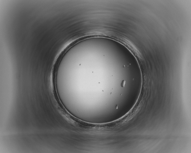 X0000113100788200908281347