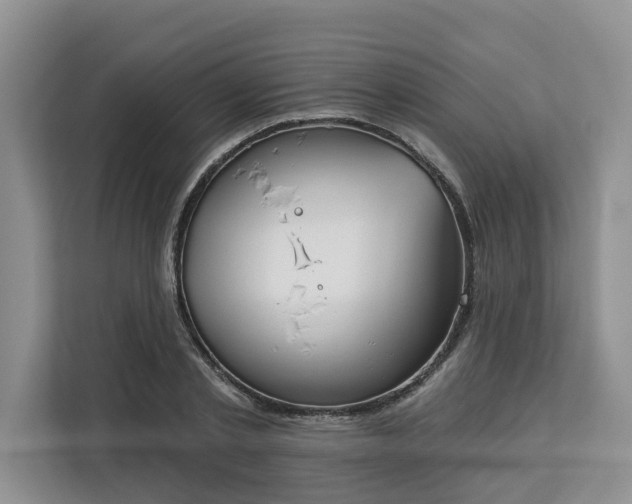 X0000113100789200908281347