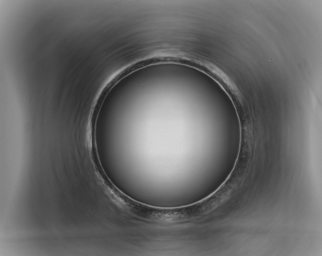 X0000113100791200908281347