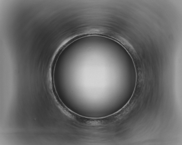 X0000113100792200908281347