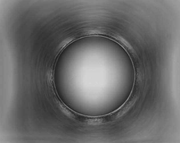 X0000113100793200908281347
