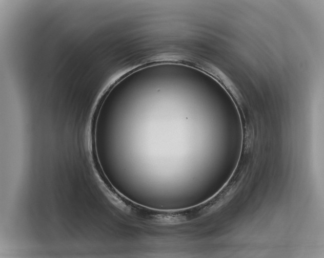 X0000113100795200908281347